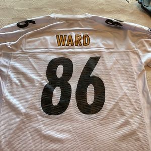 Hines Ward Jersey